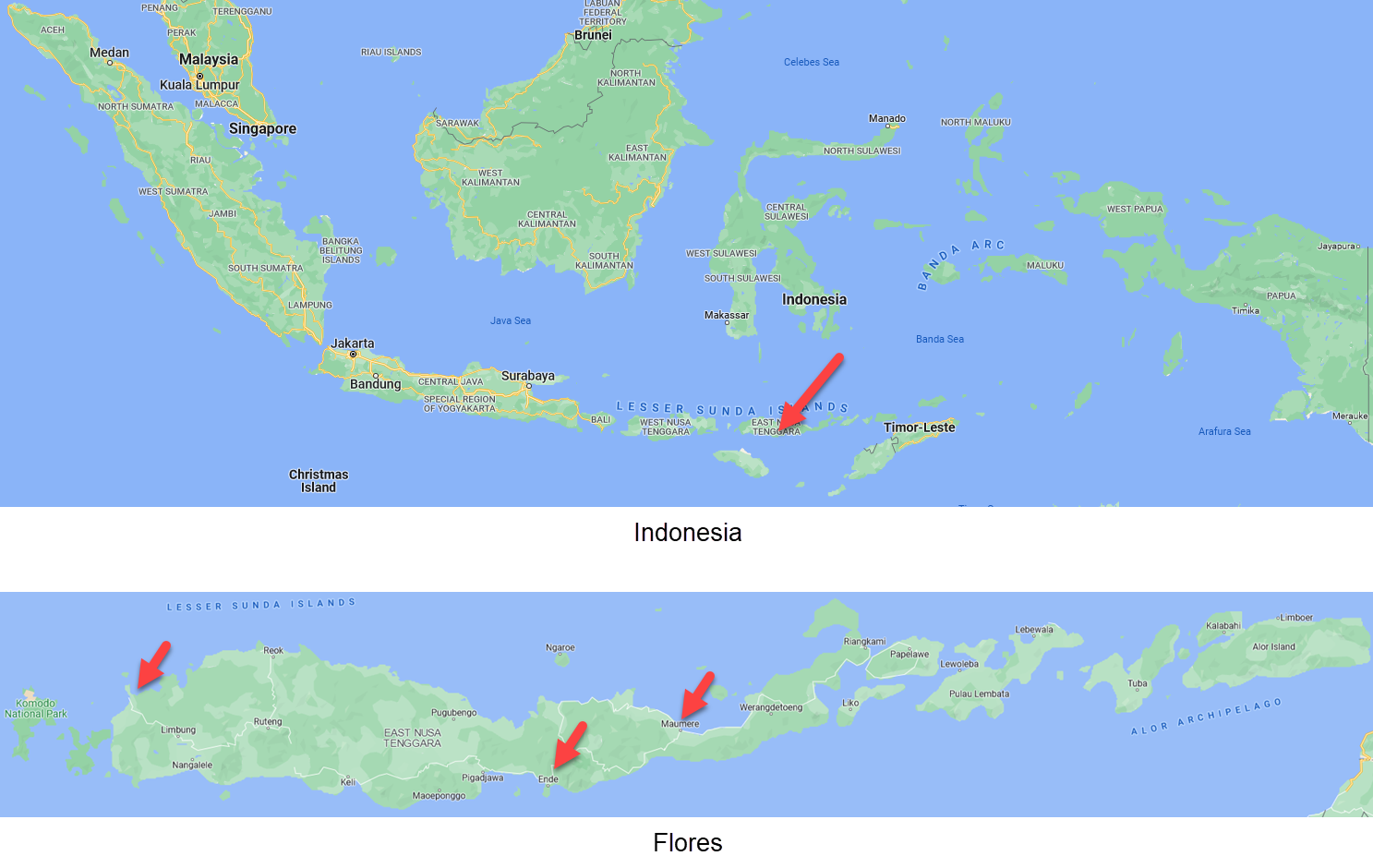 Indonesia and Flores